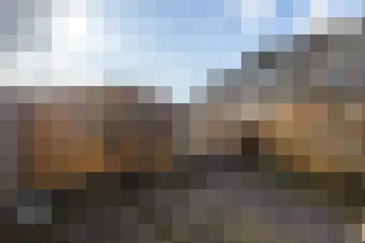 Botter 43 13 Lelystad thumbnail 31