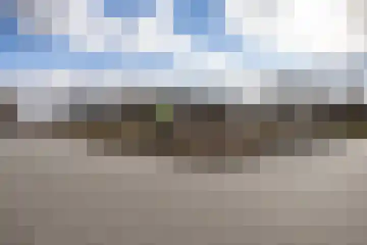 Botter 43 13 Lelystad thumbnail 36