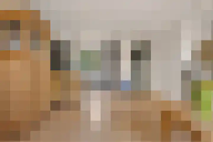 Botter 43 13 Lelystad thumbnail 8