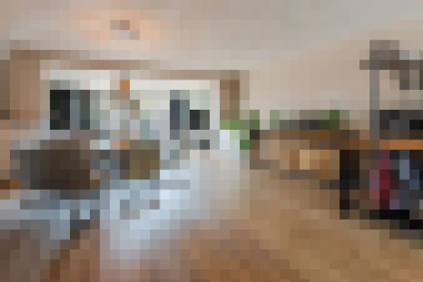 Botter 43 17 Lelystad thumbnail 15