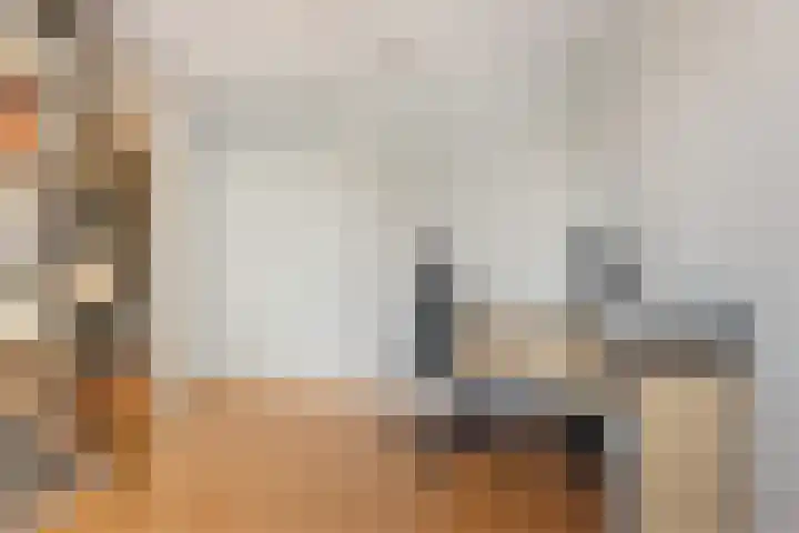 Botter 43 43 13 Lelystad thumbnail 15