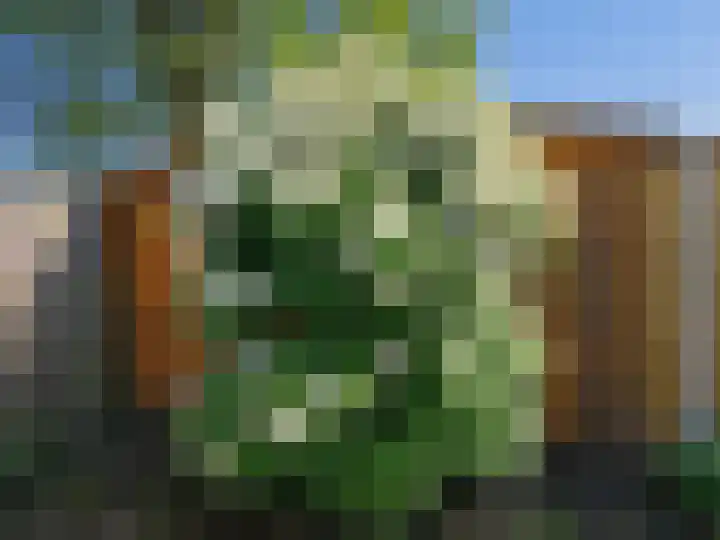 Botter 43 43 13 Lelystad thumbnail 32