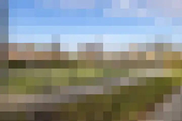 Botter 43 43 13 Lelystad thumbnail 34