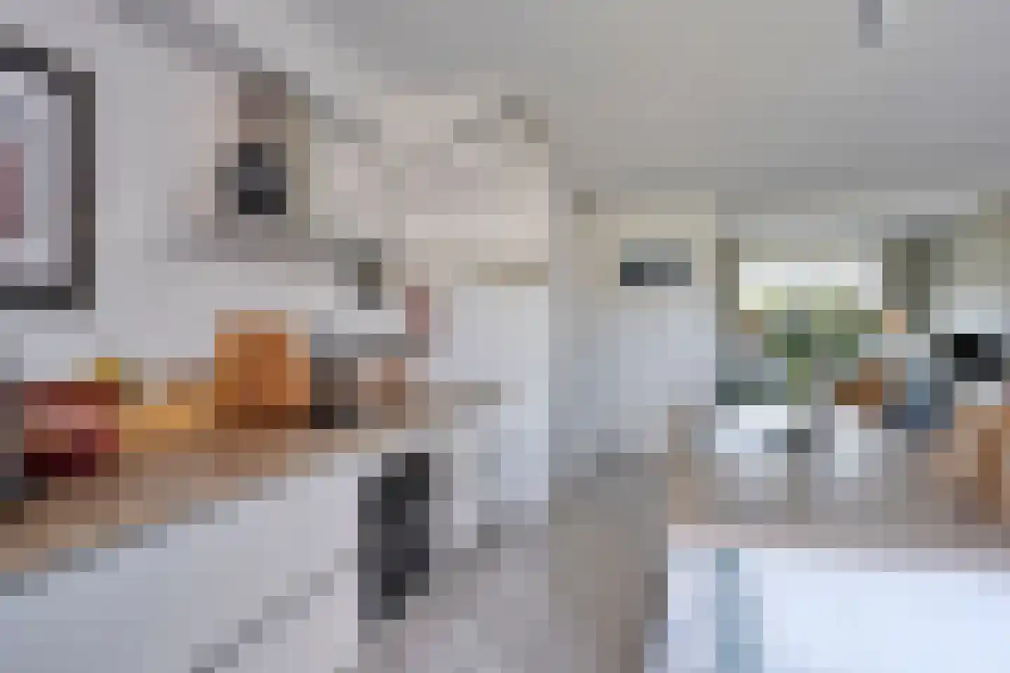 Botter 47 Meppel thumbnail 11