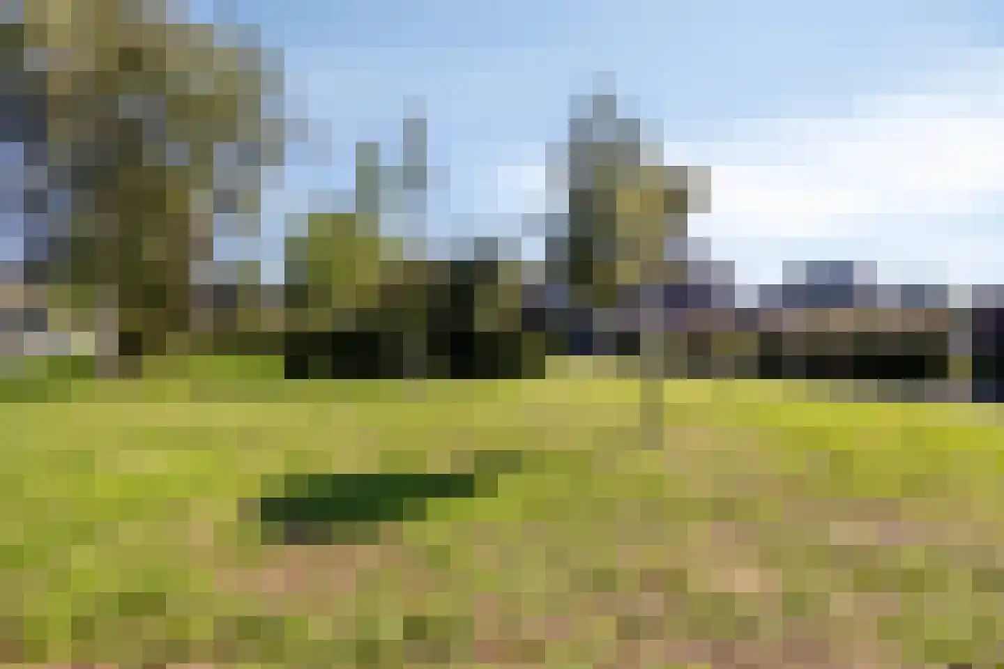 Botter 47 Meppel thumbnail 34