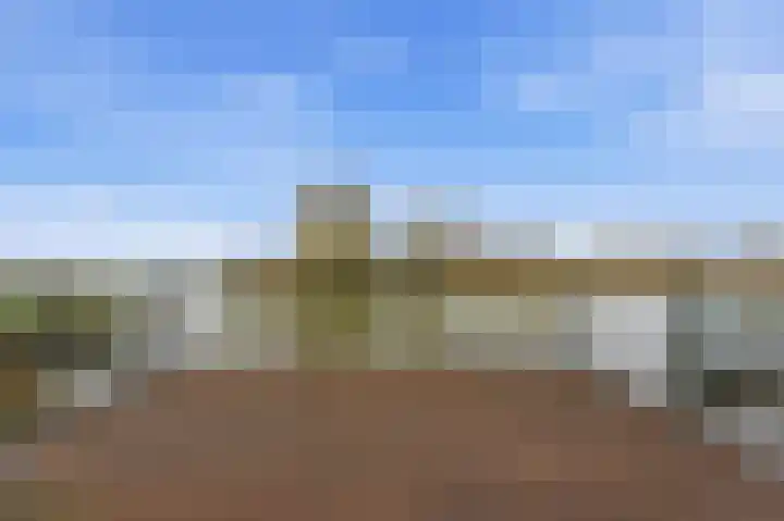 Botter 55 Alblasserdam thumbnail 11