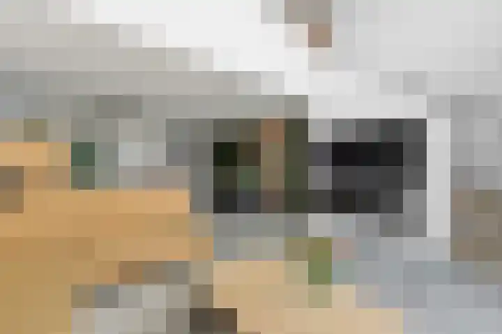 Botter 55 Alblasserdam thumbnail 15