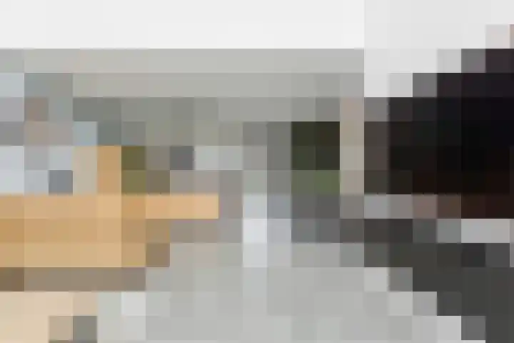 Botter 55 Alblasserdam thumbnail 16