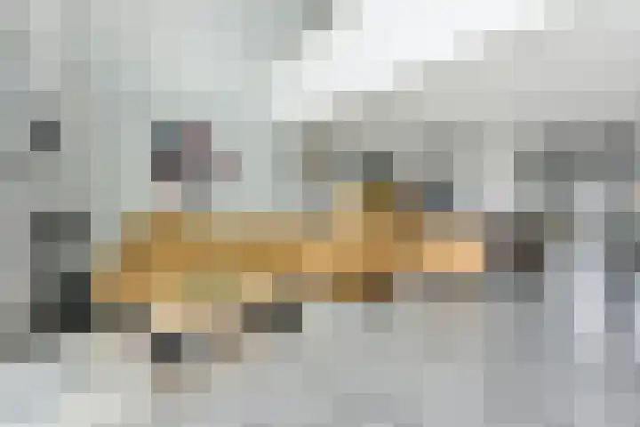 Botter 55 Alblasserdam thumbnail 17