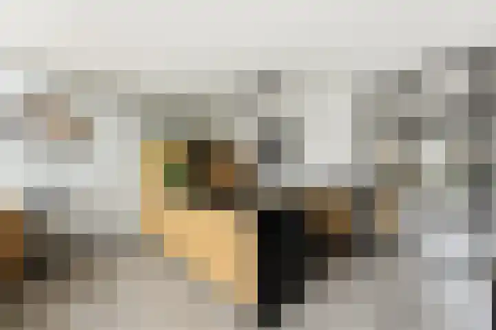 Botter 55 Alblasserdam thumbnail 19