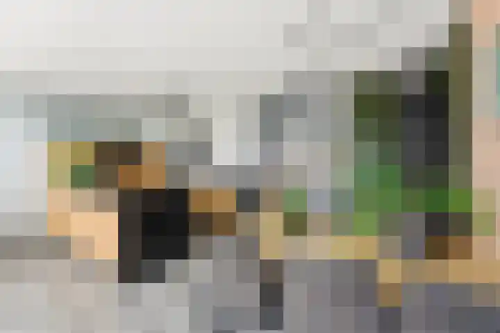 Botter 55 Alblasserdam thumbnail 22