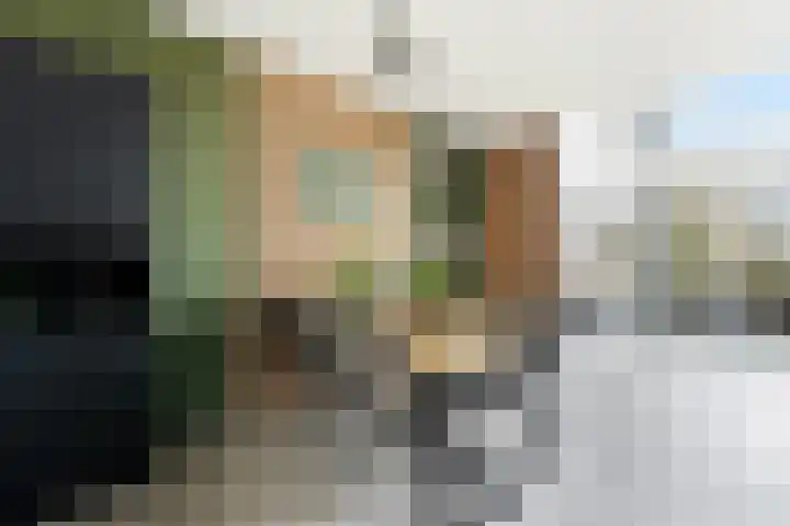 Botter 55 Alblasserdam thumbnail 26