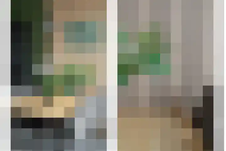 Botter 55 Alblasserdam thumbnail 29