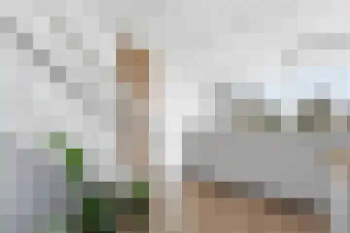 Botter 55 Alblasserdam thumbnail 33