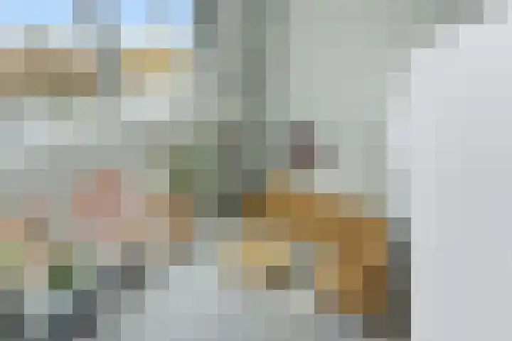 Botter 55 Alblasserdam thumbnail 37