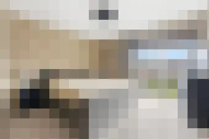 Botter 55 Alblasserdam thumbnail 39