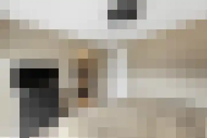 Botter 55 Alblasserdam thumbnail 41