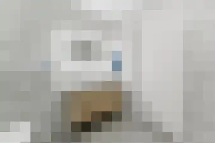 Botter 55 Alblasserdam thumbnail 44