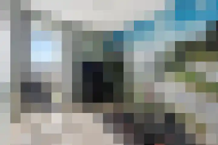 Botter 55 Alblasserdam thumbnail 54