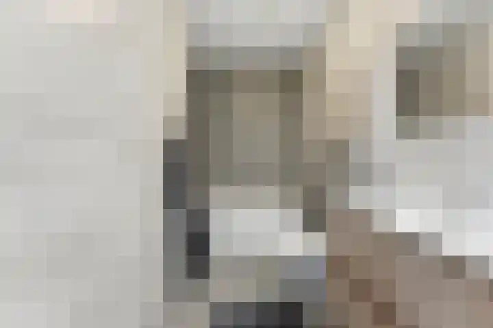 Botter 55 Alblasserdam thumbnail 56