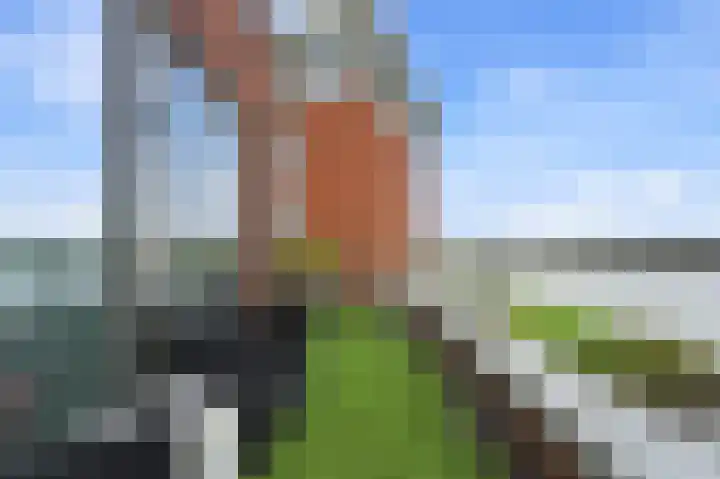 Botter 55 Alblasserdam thumbnail 60