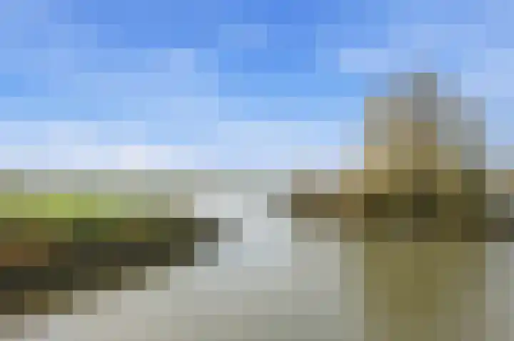 Botter 55 Alblasserdam thumbnail 65