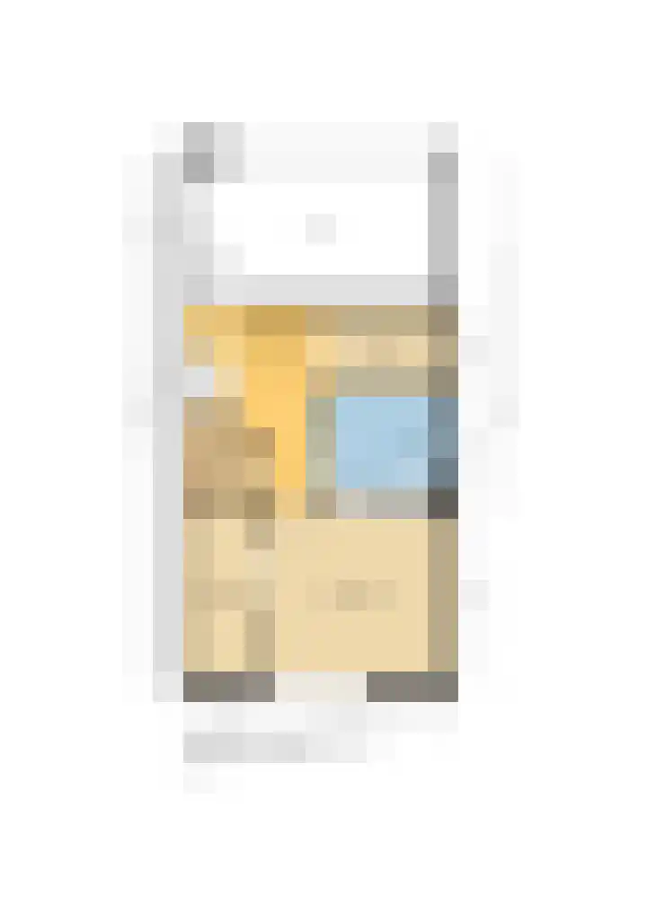 Botter 55 Alblasserdam thumbnail 81