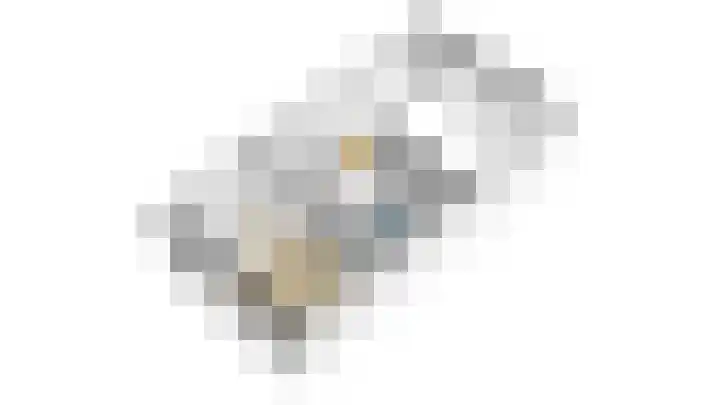 Botter 55 Alblasserdam thumbnail 82