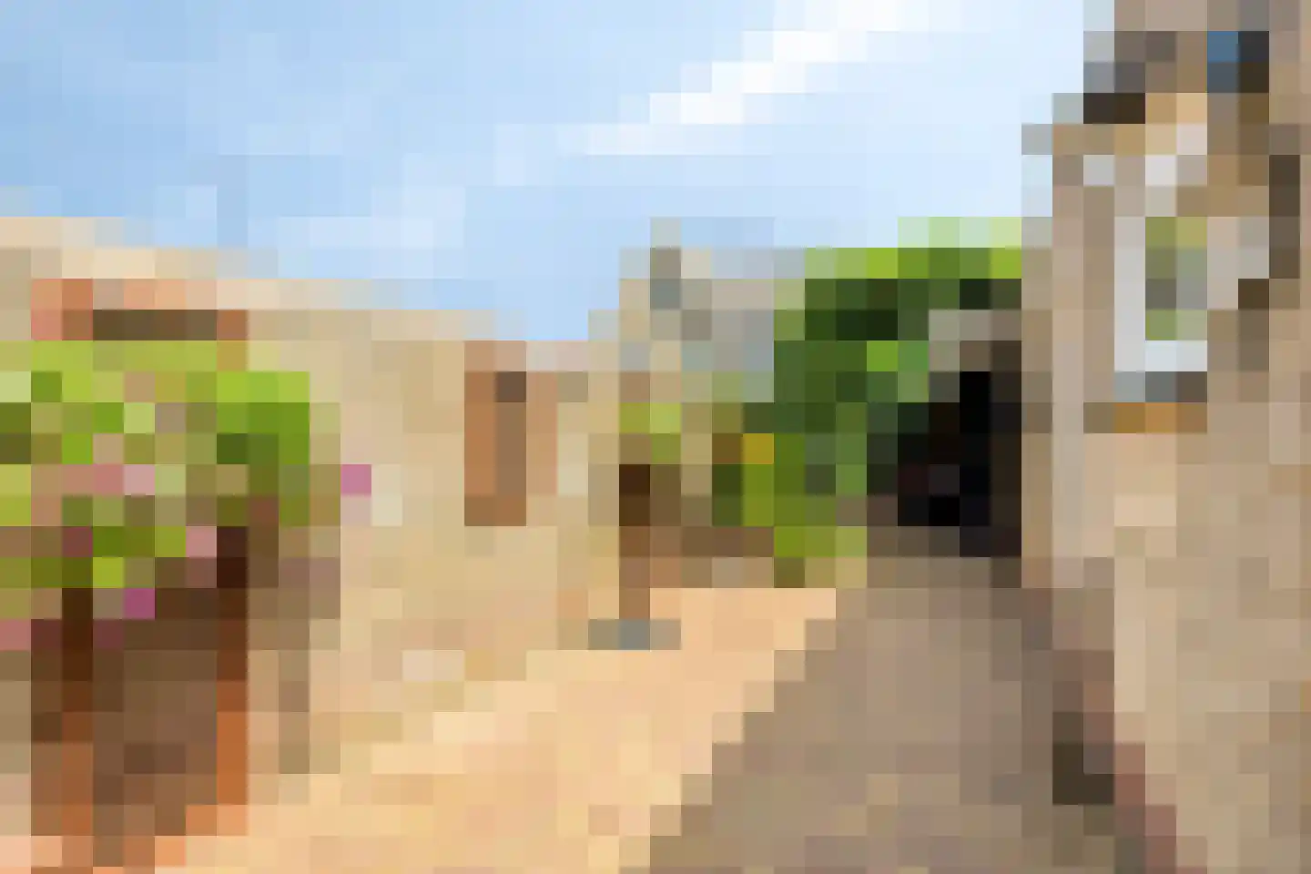 Botter 59 Volendam thumbnail 16
