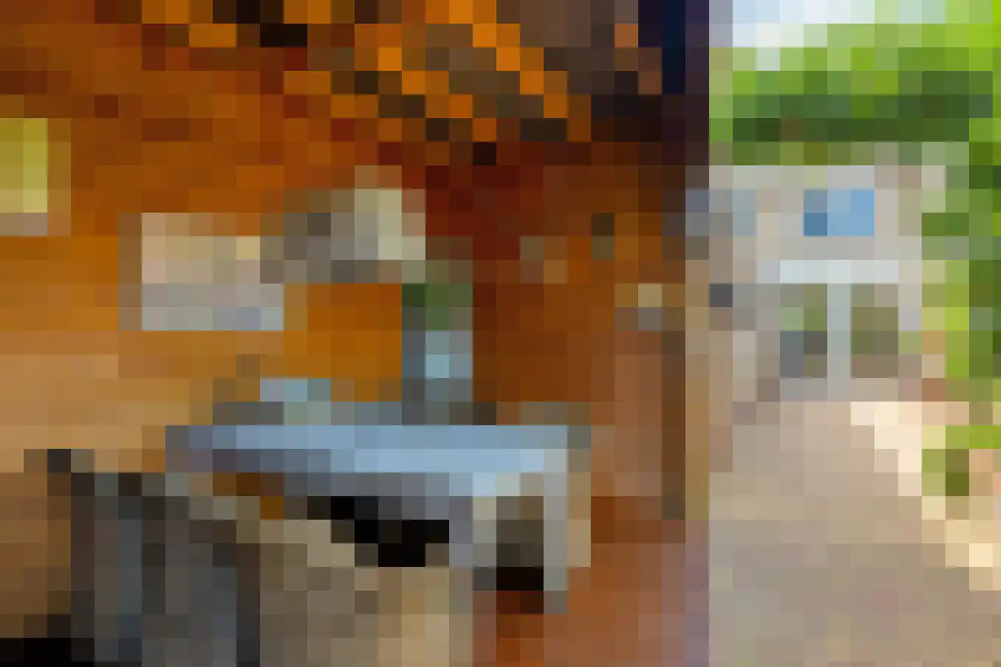 Botter 59 Volendam thumbnail 19