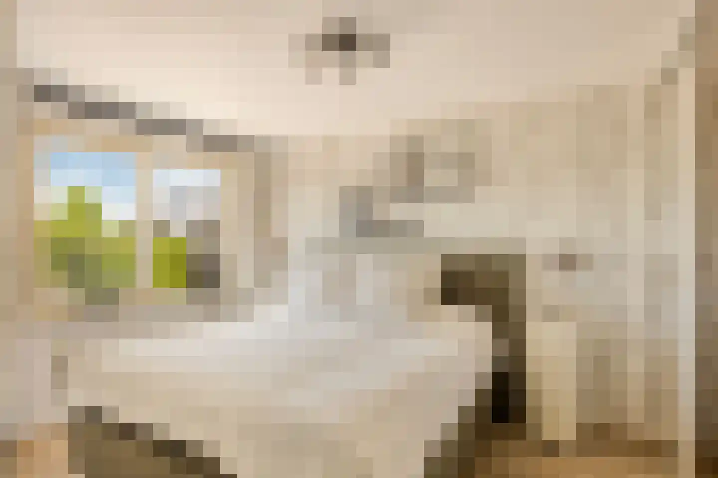 Botter 59 Volendam thumbnail 24