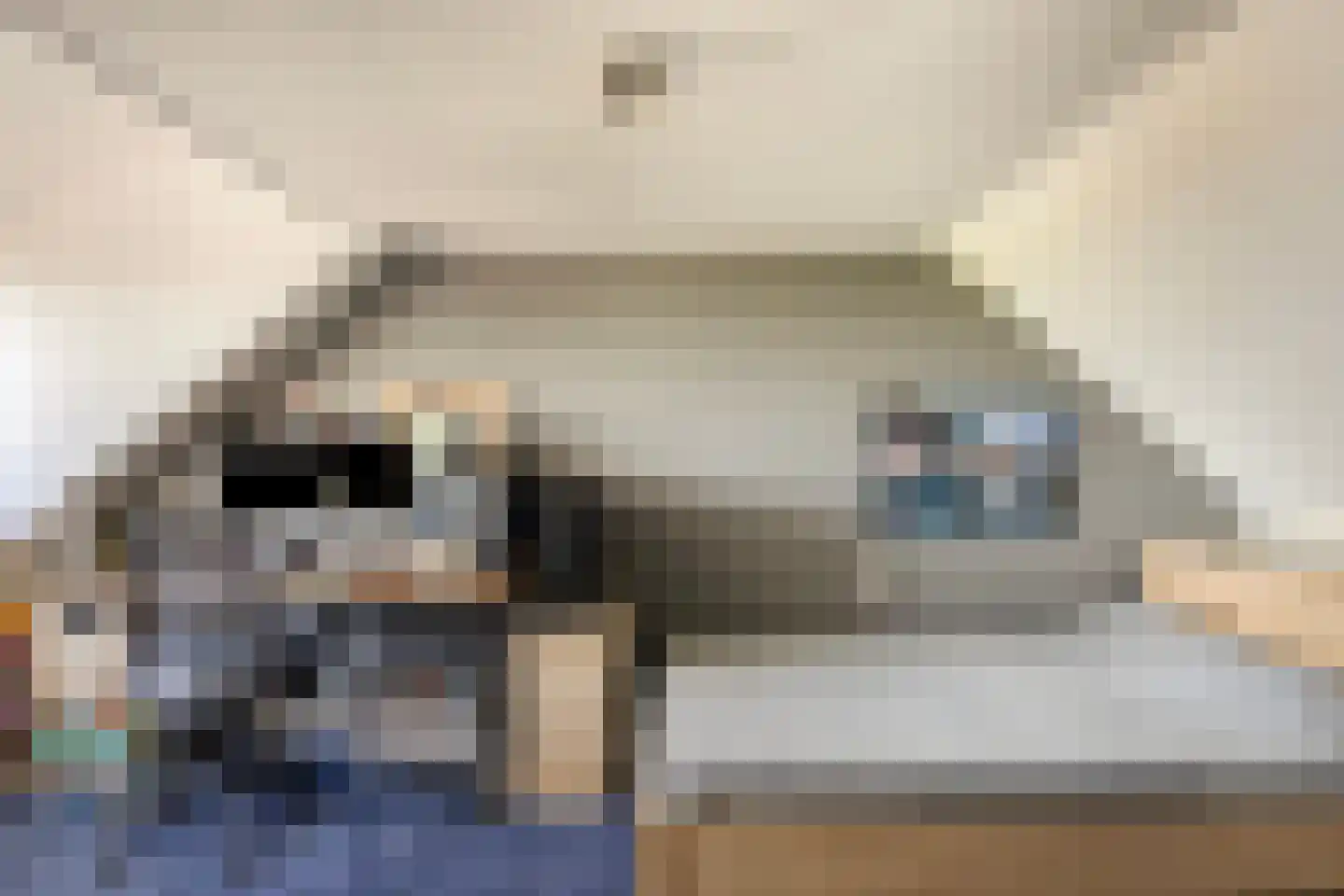 Botter 59 Volendam thumbnail 39
