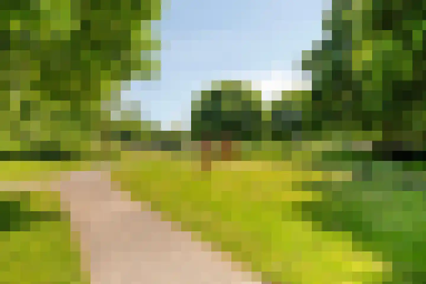 Botter 59 Volendam thumbnail 48