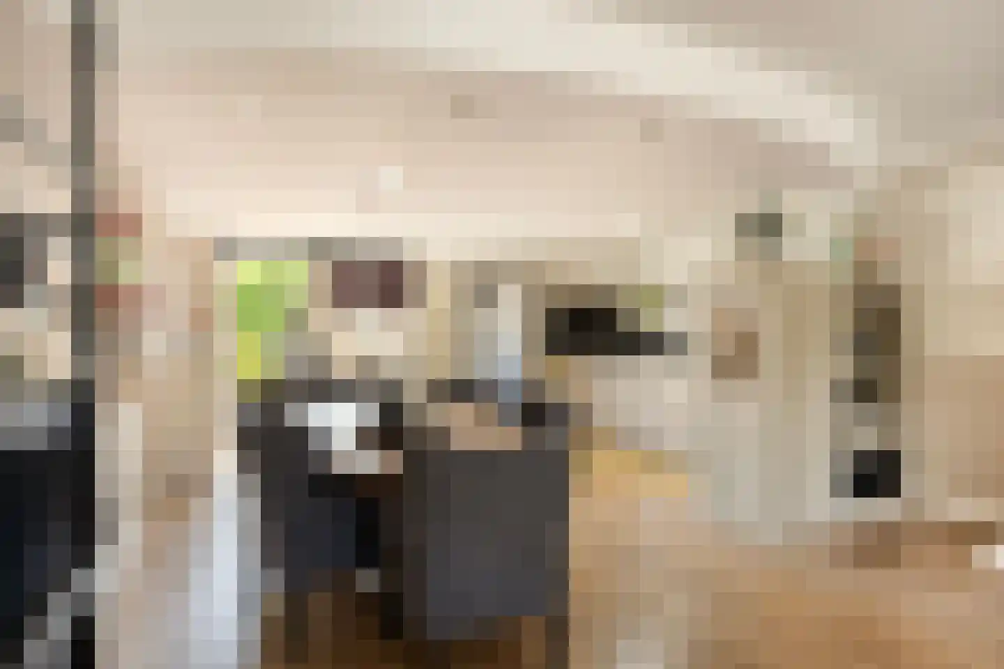 Botter 59 Volendam thumbnail 8