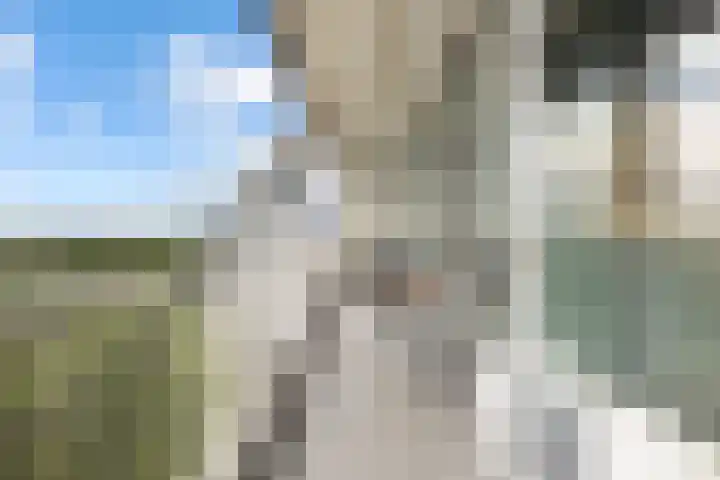 Botter 6 Meppel thumbnail 13