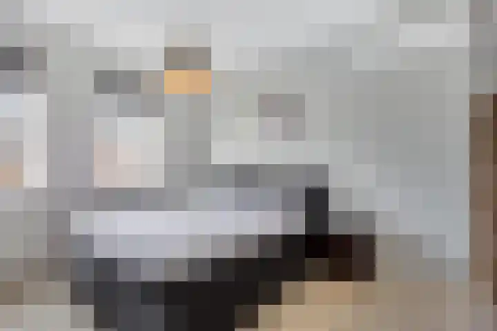 Botter 6 Meppel thumbnail 16