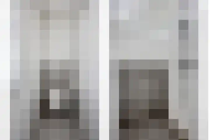 Botter 6 Meppel thumbnail 19