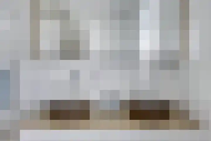 Botter 6 Meppel thumbnail 20