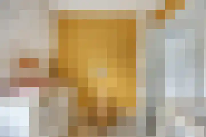 Botter 6 Meppel thumbnail 22