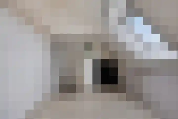 Botter 6 Meppel thumbnail 25
