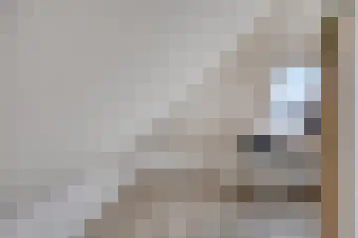 Botter 6 Meppel thumbnail 27