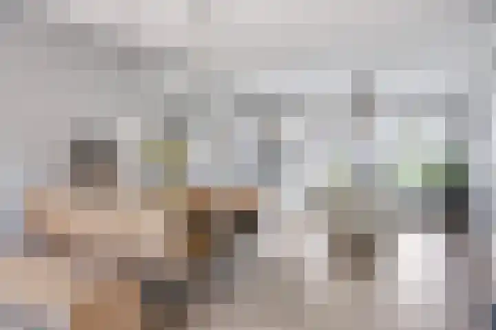 Botter 6 Meppel foto 3