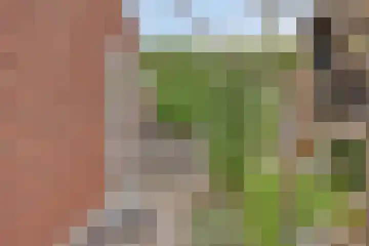 Botter 6 Meppel thumbnail 32