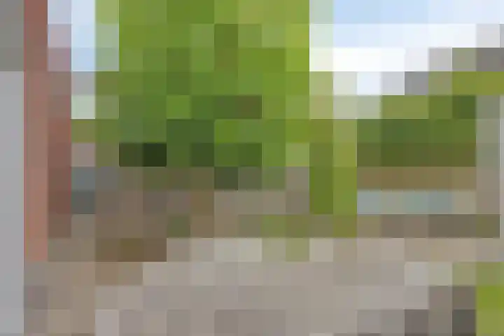 Botter 6 Meppel thumbnail 34