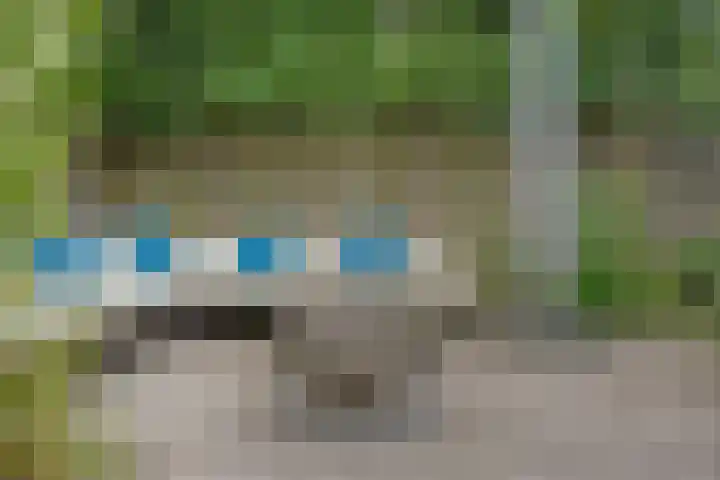 Botter 6 Meppel thumbnail 36