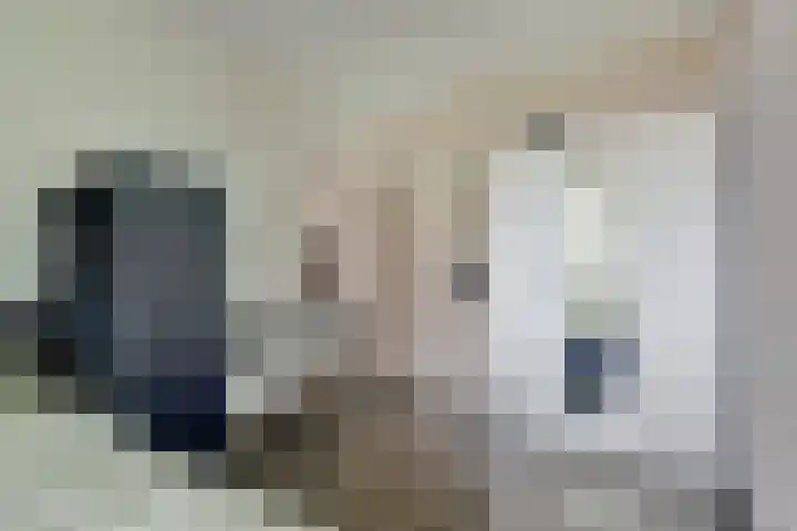 Botter 6 Meppel thumbnail 40