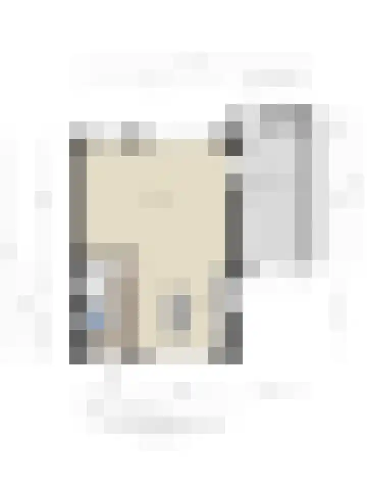 Botter 6 Meppel thumbnail 42