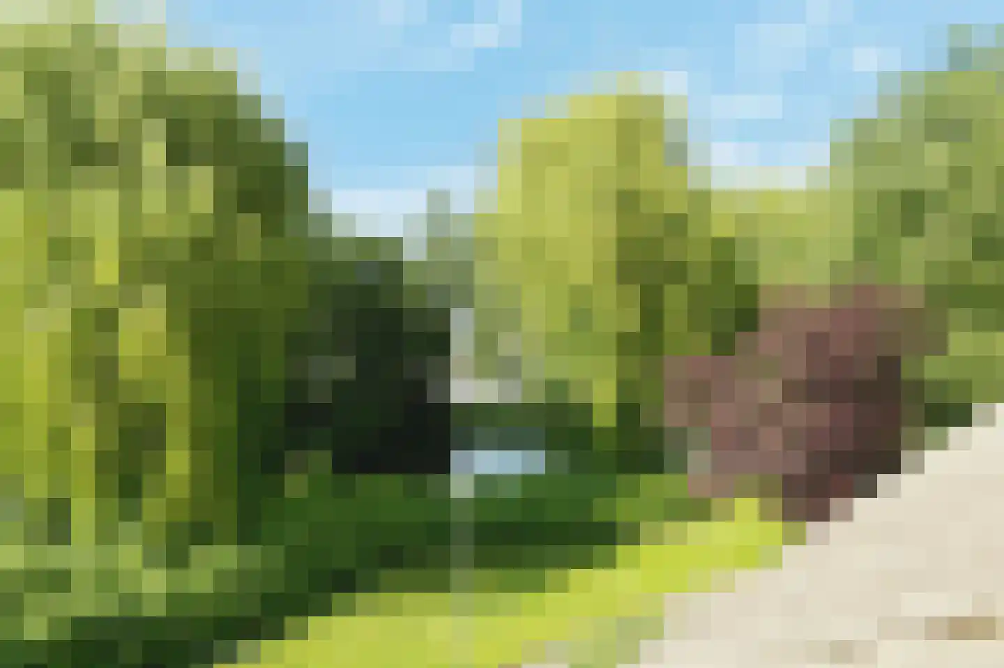 Botter 63 Barendrecht thumbnail 41
