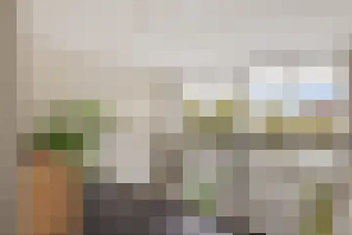 Botter 65 Alblasserdam thumbnail 24