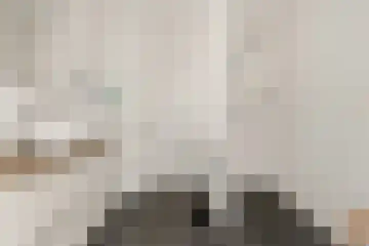 Botter 65 Alblasserdam thumbnail 27